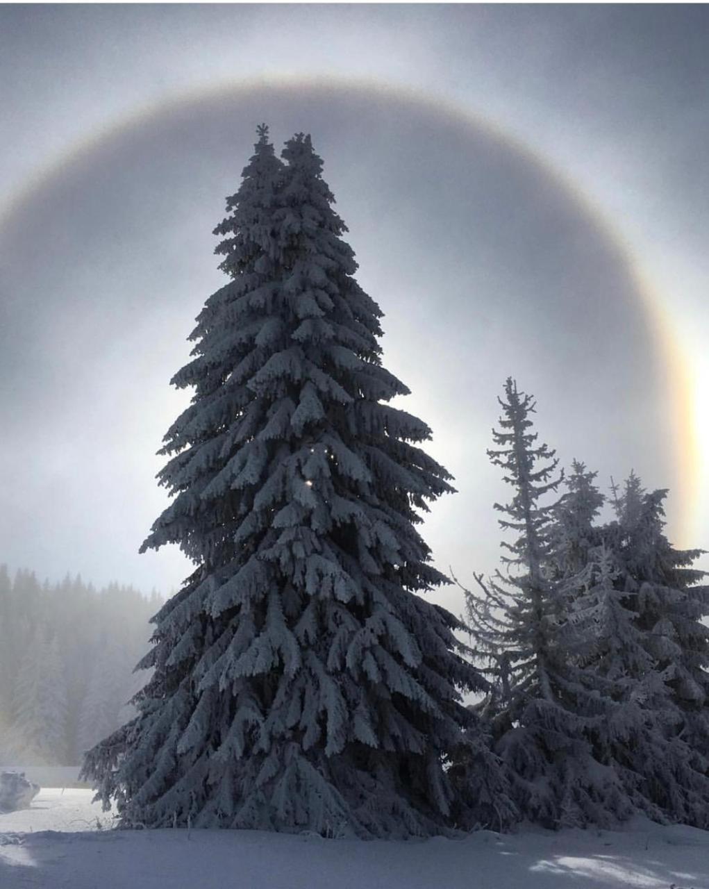 Silver Mountain Milmari Κοπαόνικ Εξωτερικό φωτογραφία